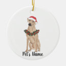 Search for rhodesian ridgeback ornaments Santa