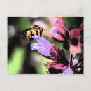 Recherche de abeille fleur cartes postales Faune