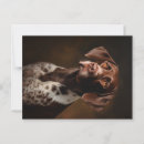 Search for german shorthair pointer postcards Hunting