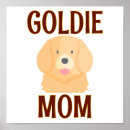 Recherche de chiot golden retriever posters Animaux de compagnie