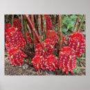 Search for indonesian art Tropical