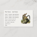 Search for ringtailed Illustration