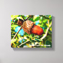 Search for acorn art Nature