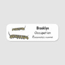 Search for common name Insect