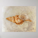 Search for vintage paper texture posters Antique