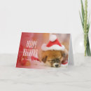 Search for dog sleeping cards Lying down