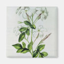 Recherche de guirlande magnets Nicolas