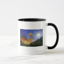 Search for this side up mugs Horizontal