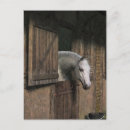 Recherche de écurie cartes postales Cheval