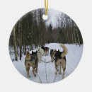 Search for dog sled ornaments Winter