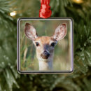 Search for whitetail deer ornaments Hunting