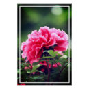 Recherche de pivoine rouge posters Nature