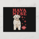 Recherche de haïtien posters Dog