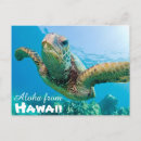 Search for green island cards Hawaii