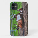 Search for horse painting iphone cases Pinto
