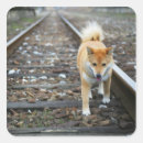 Search for dog walking stickers Cute