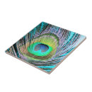 Search for peacock feather tiles Colourful