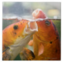 Search for koi carp tiles Horizontal