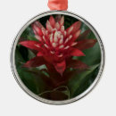 Search for red flower ornaments Nature