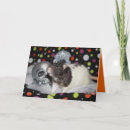 Search for ratties cards Pets