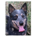 Search for australian notebooks Animals