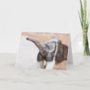 Search for anteater cards Antater