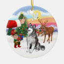 Search for alaskan malamute ornaments Pets