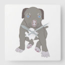 Recherche de pitbull horloges Chiot