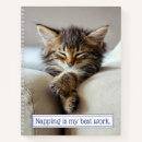 Recherche de de chaton carnets Humour
