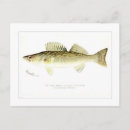 Recherche de fish cartes postales Watercolor