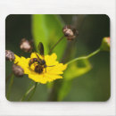Search for wasps mousepads Insect