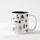 Search for zoology mugs Butterfly