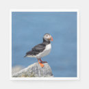 Recherche de macareux serviettes Nature
