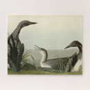 Recherche de loon puzzles Oiseau