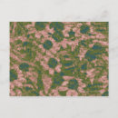 Recherche de motif de camouflage cartes postales Numérique