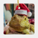 Search for santa dragon ornaments Lizard