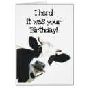 Recherche de cow birthday Holstein