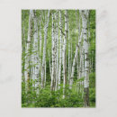 Recherche de préfecture cartes postales Photographie