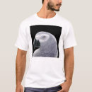 Recherche de timnehs Oiseaux