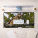 Recherche de art fauconnerie tapis souris Oiseau
