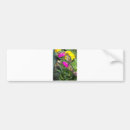 Search for spring bumper stickers Photography