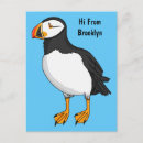 Search for puffin postcards Fratercula arctica
