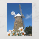 Recherche de jonquilles cartes postales Printemps