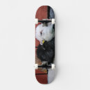 Search for collective skateboards Collectable