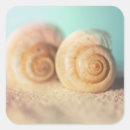 Search for nautilus stickers Sea