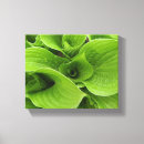 Search for wetlands canvas prints Nature