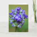 Recherche de givré photographie Fleur
