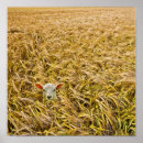 Search for the lost sheep posters Lamb