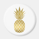 Recherche de ananas magnets Plage