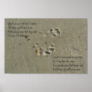 Search for rainbow paw posters Pet